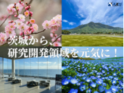 株式会社日本アクシスの画像