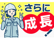 ������ҥΥХå��β���