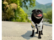 株式会社酔翁アイシン警備の画像