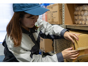 �գԥ���������ȳ������ �������CS�β���