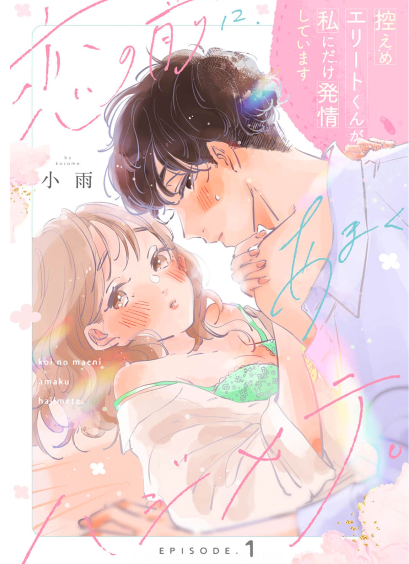 恋の前に、あまくハジメテ。 控えめエリートくんが私にだけ発情しています