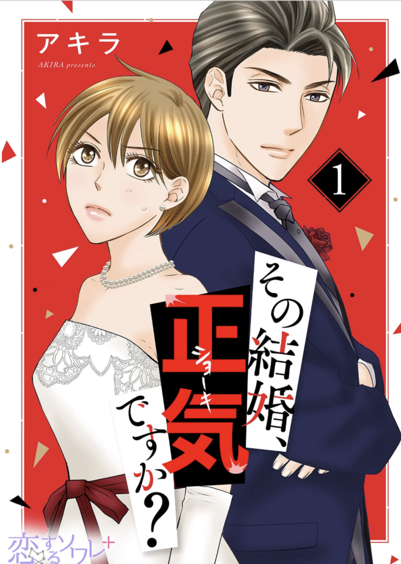 その結婚、正気ですか?のネタバレあらすじは? 全巻無料で読む方法も調査してみた