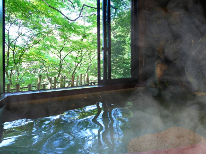 彼氏の誕生日 サプライズ旅行 の宿 温泉旅館 宿 ホテルが探せる ゆこゆこネット