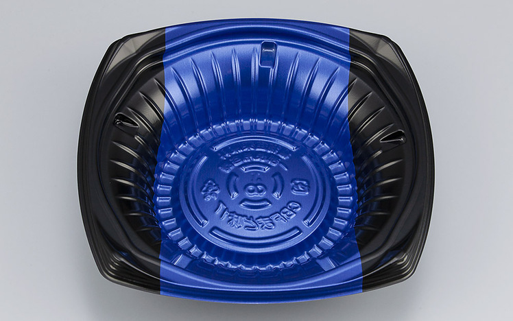 バタビーケティヘルメットダカラ 貝殻 標本