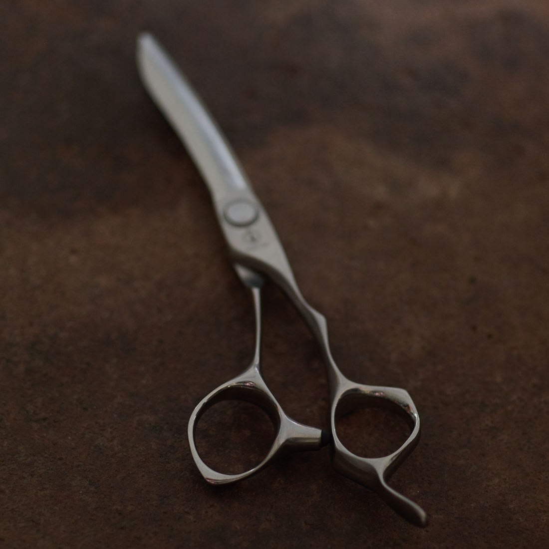 STELLITE alloy 555 | ミズタニシザーズ