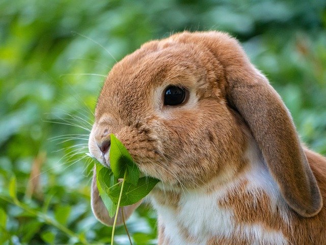 記事:商標登録のすゝめのイメージ画像