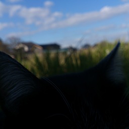 Thumb dsc 0418