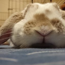 Thumb 20180609150808 p