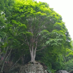 Thumb img 20190608 144247