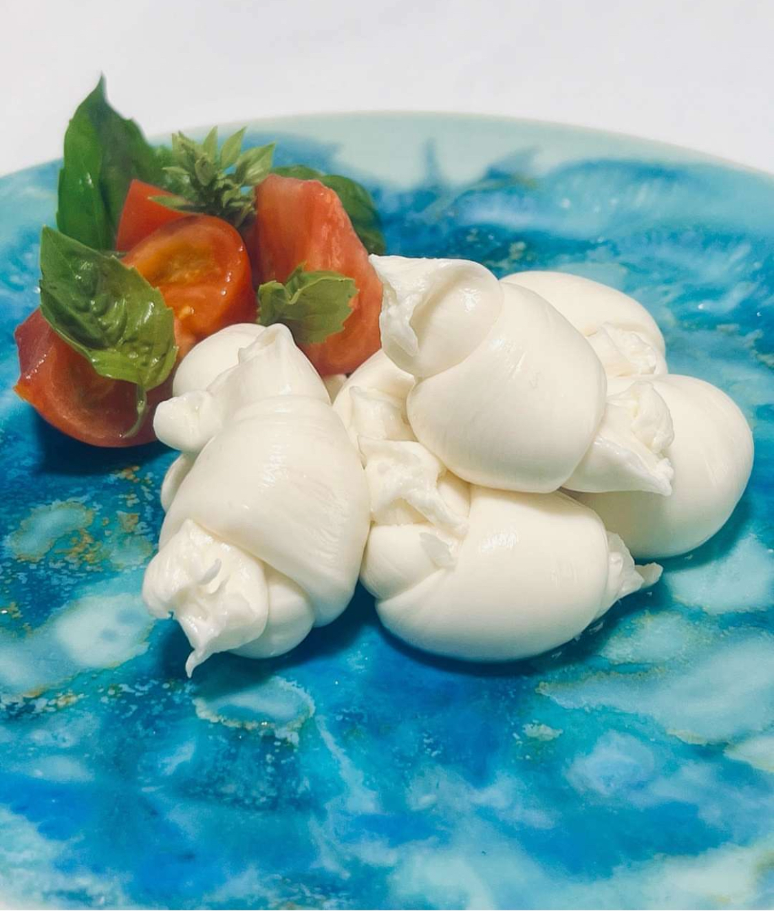出来立ての結び目モッツァレラ