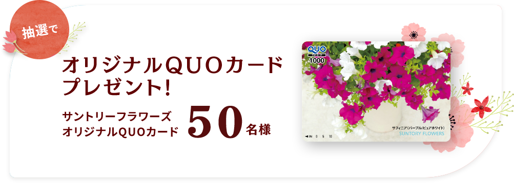 抽選でオリジナルQUOカード プレゼント! サントリーフラワーズ オリジナルQUOカード 50名様