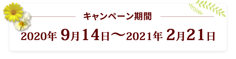 キャンペーン期間:2020年9月14日(月)~2021年2月21日(日)