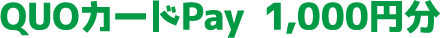 QUOカードPay 1,000円分