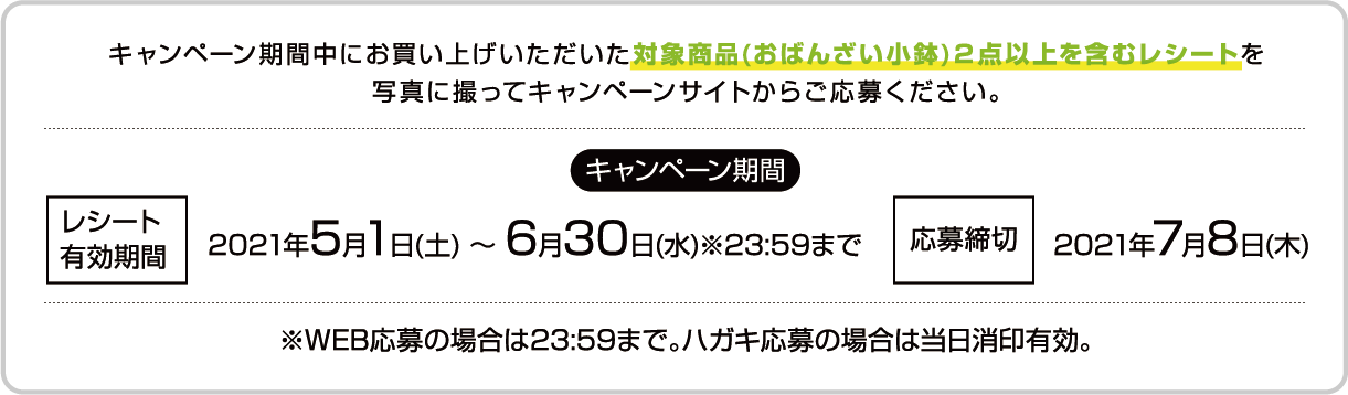 絵手紙キャンペーン企画 第2弾!ご好評につき当選人数を総計1,000名様に拡大!