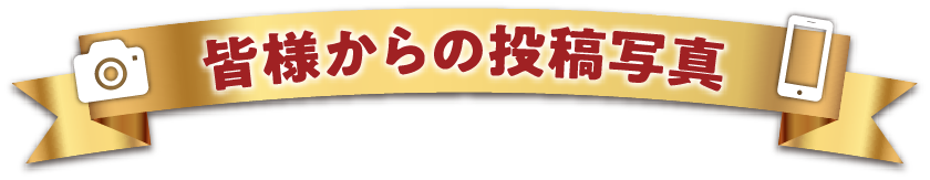 皆様からの投稿写真