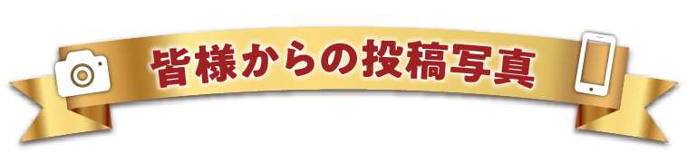 皆様からの投稿写真