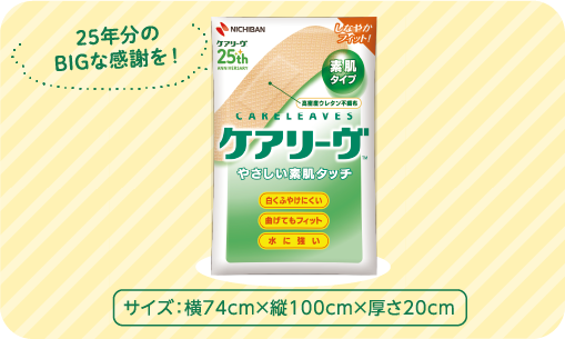25年分のBIGな感謝を! ケアリーヴTMオリジナルクッション 