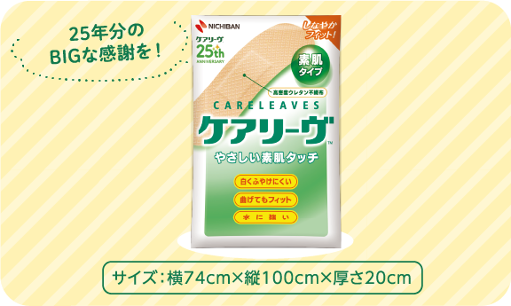 25年分のBIGな感謝を! ケアリーヴTMオリジナルクッション 