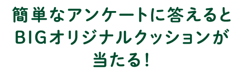 簡単なアンケートに答えるとBIGなオリジナルクッションが当たる！