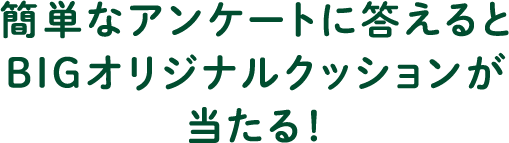 簡単なアンケートに答えるとBIGなオリジナルクッションが当たる！