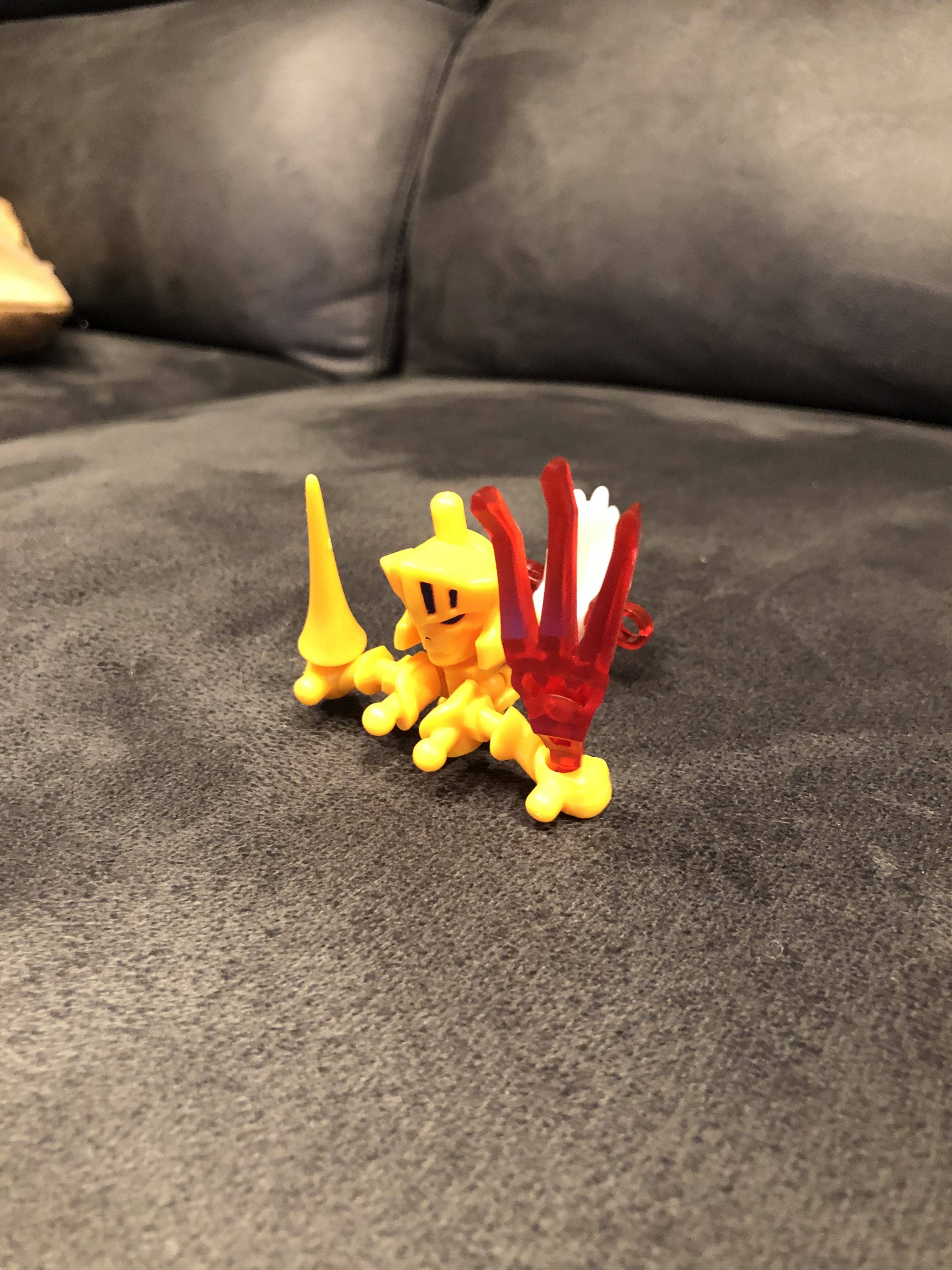 IMG_2684.jpeg