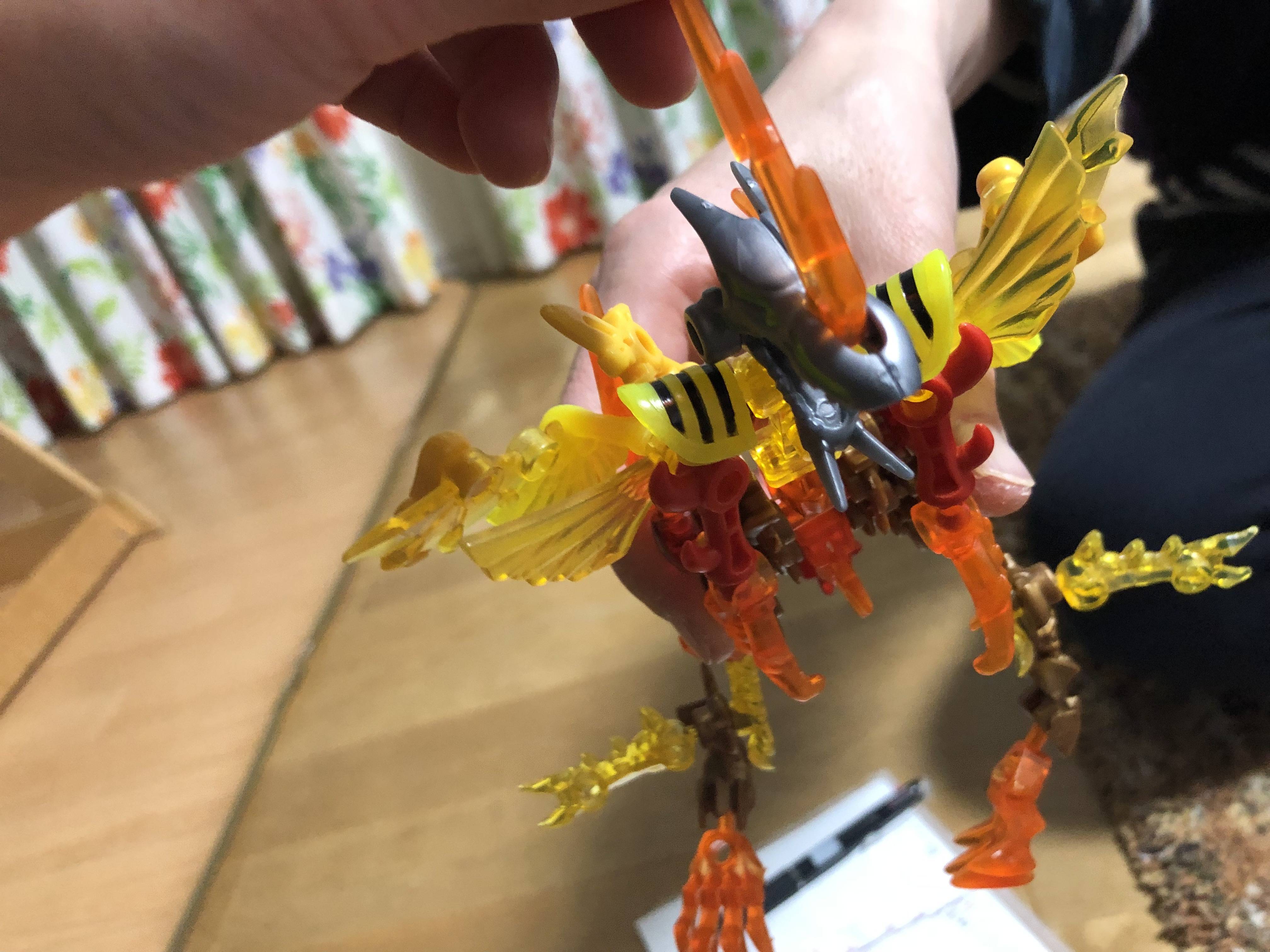 IMG_0953.jpeg