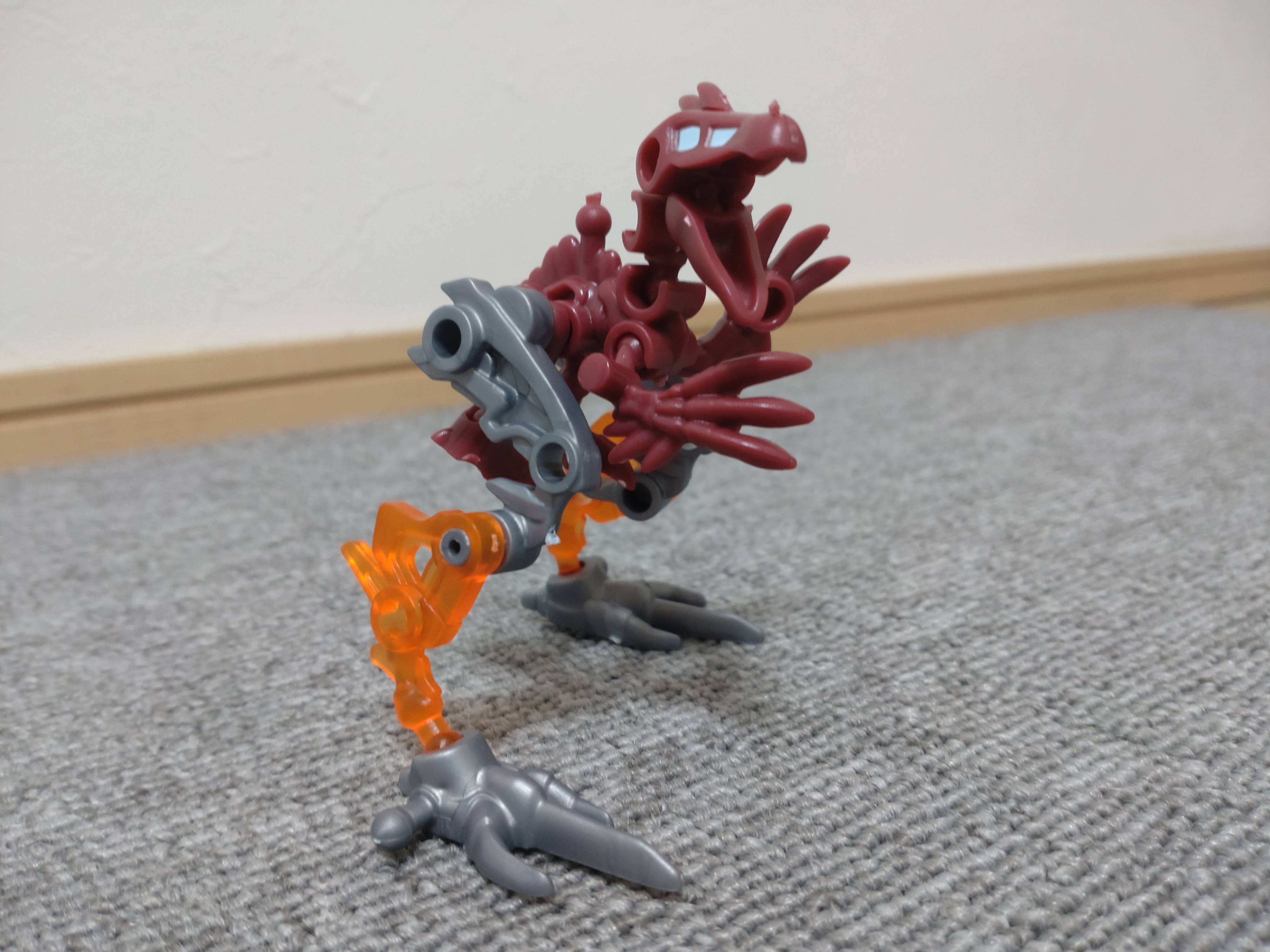 DSC_0493.JPG