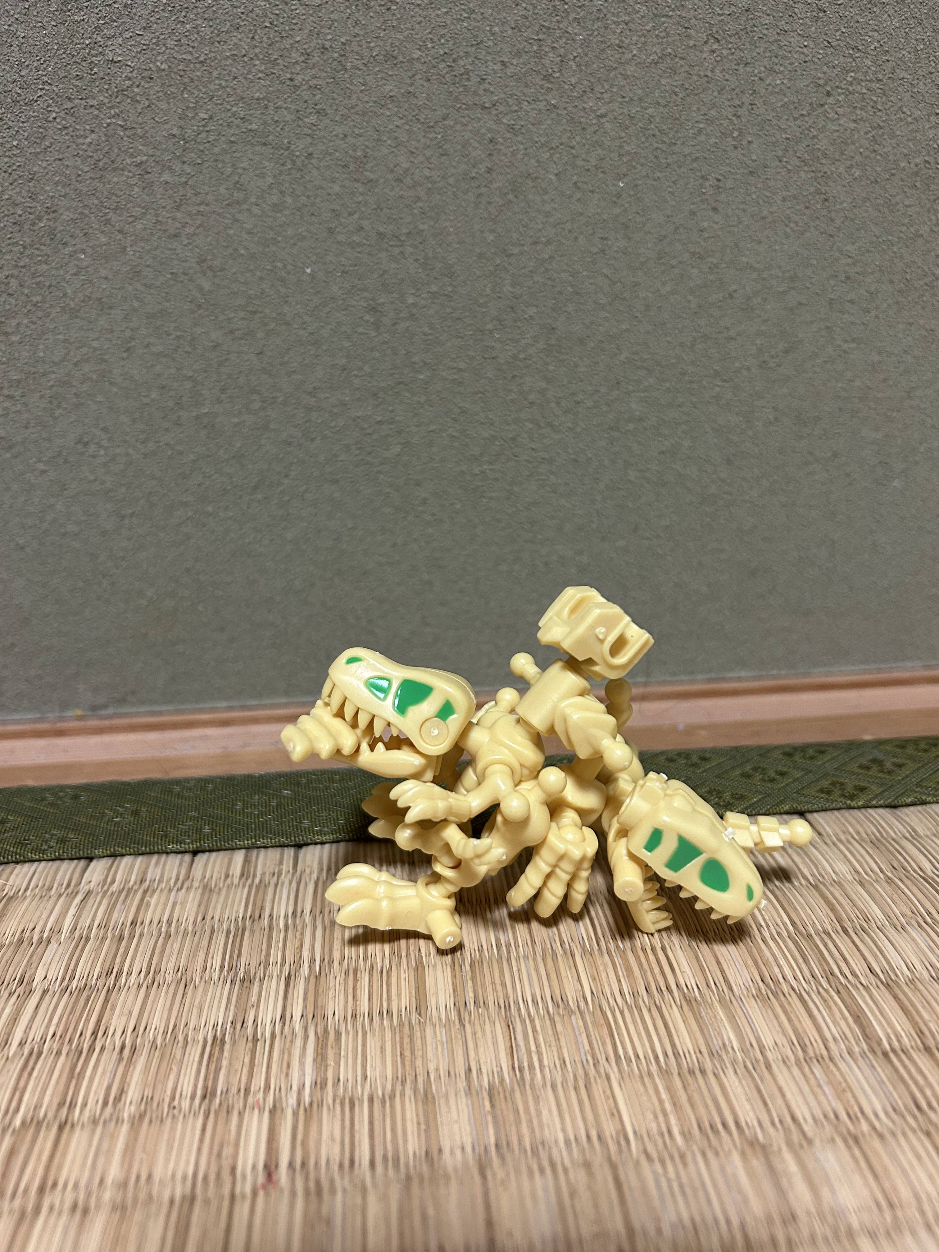 IMG_4560.jpeg