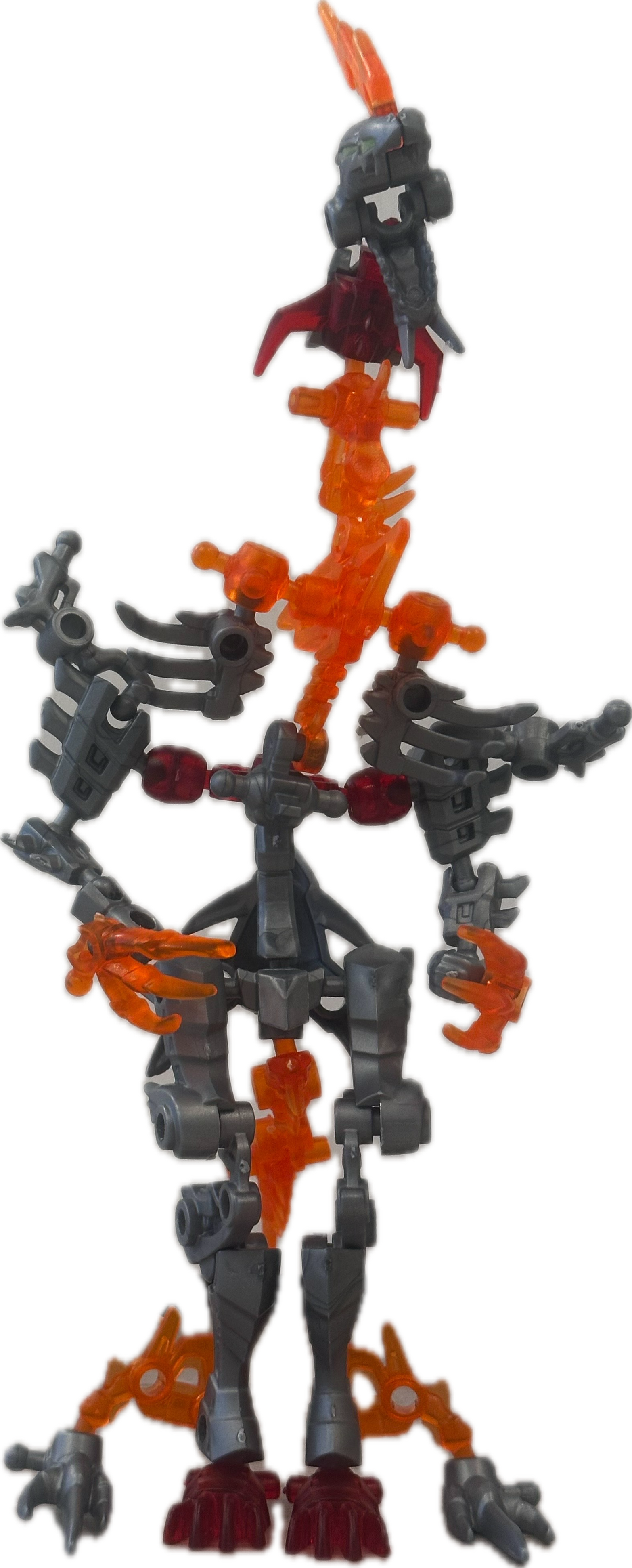 IMG_8436.png