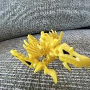 IMG_7998.jpeg