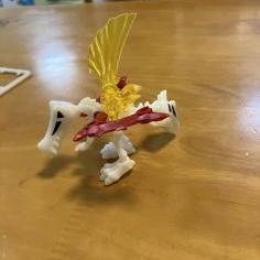 IMG_4910.jpeg