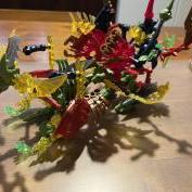 IMG_4803.jpeg