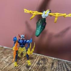 IMG_1334.jpeg