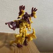image.jpg