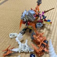 IMG_2612.jpeg