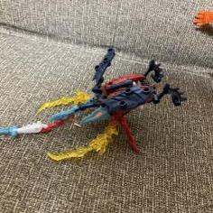IMG_8638.jpeg