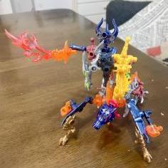 IMG_8642.jpeg