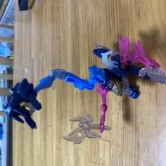 IMG_1019.jpeg