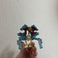 IMG_0149.jpeg
