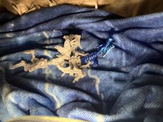 IMG_1067.jpeg