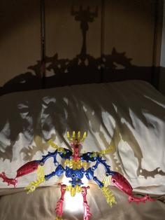 IMG_2893.jpeg