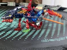 IMG_7192.jpeg