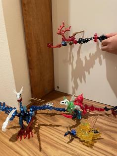 IMG_1613.jpeg