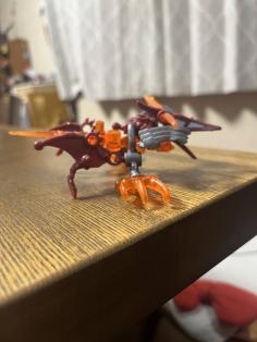 IMG_0587.jpeg