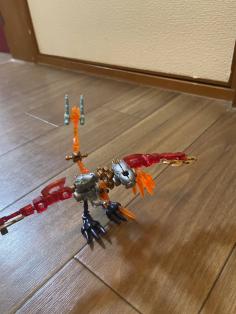 IMG_6370.jpeg