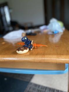 IMG_5366.jpeg