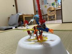 IMG_6331.jpeg