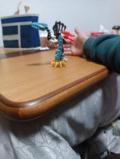 IMG_20241120_175739_1.jpg