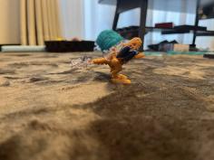 IMG_9797.jpeg