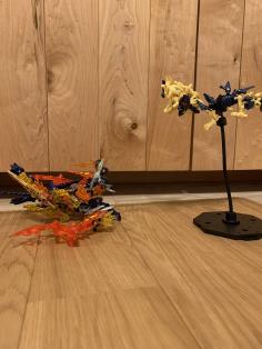 IMG_1339.jpeg